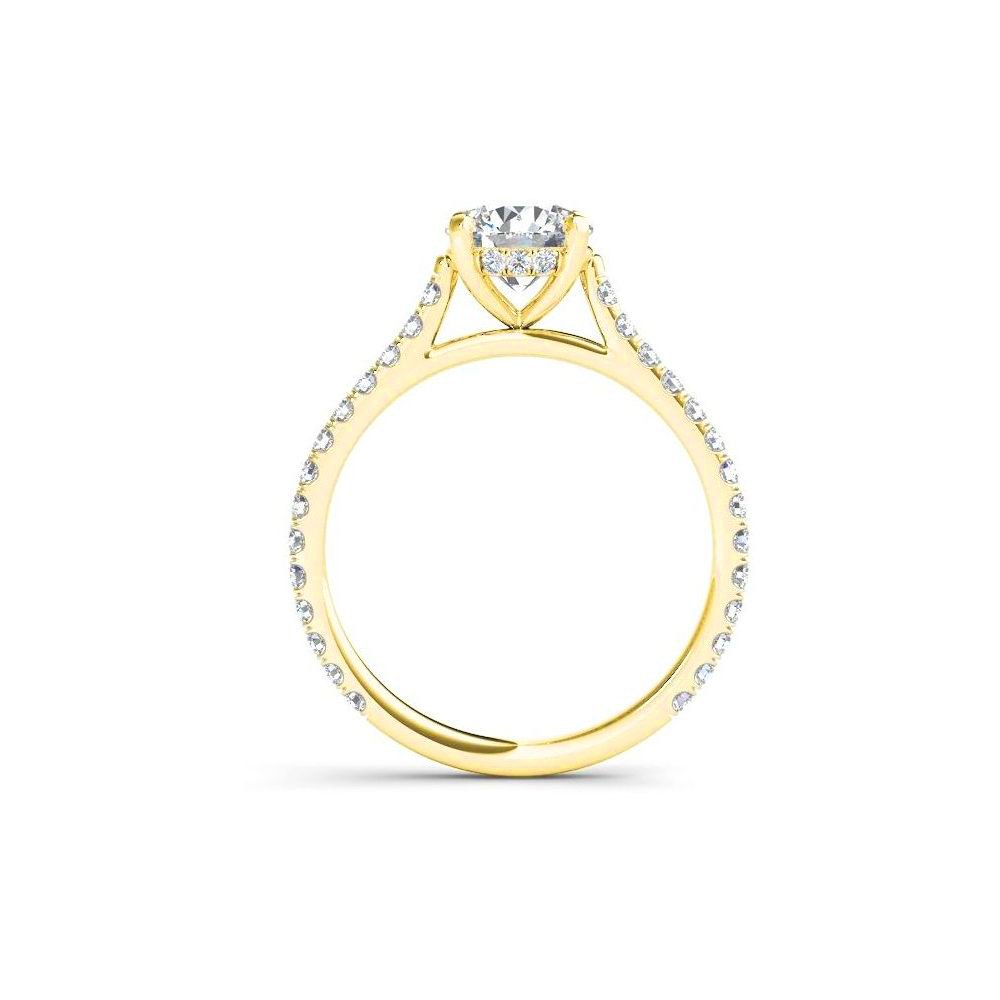 Panoply Ring